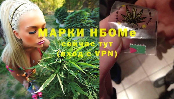 мдпв Алексин